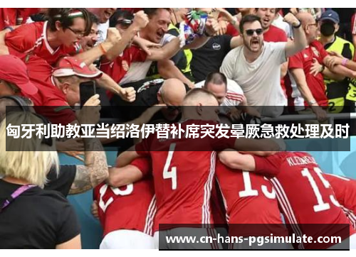 匈牙利助教亚当绍洛伊替补席突发晕厥急救处理及时