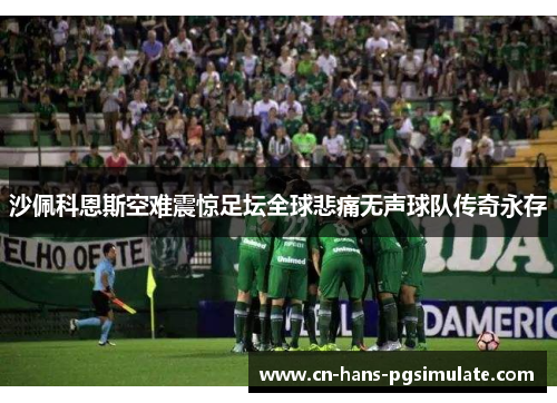 沙佩科恩斯空难震惊足坛全球悲痛无声球队传奇永存